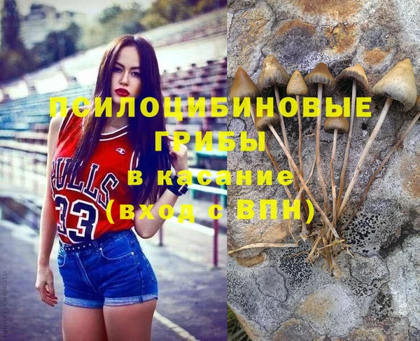 мяу мяу мука Балахна