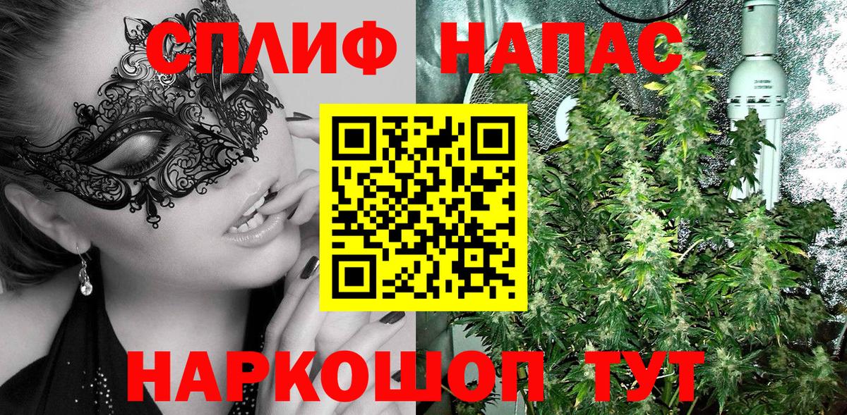 Бошки марихуана SATIVA & INDICA  Вход с VPN  Долгопрудный  Каннабис White Widow 